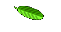 Hoope-park
