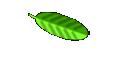 Unbenannt32